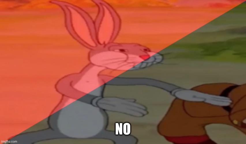 Anarcho-communist bugs bunny | NO | image tagged in anarcho-communist bugs bunny | made w/ Imgflip meme maker