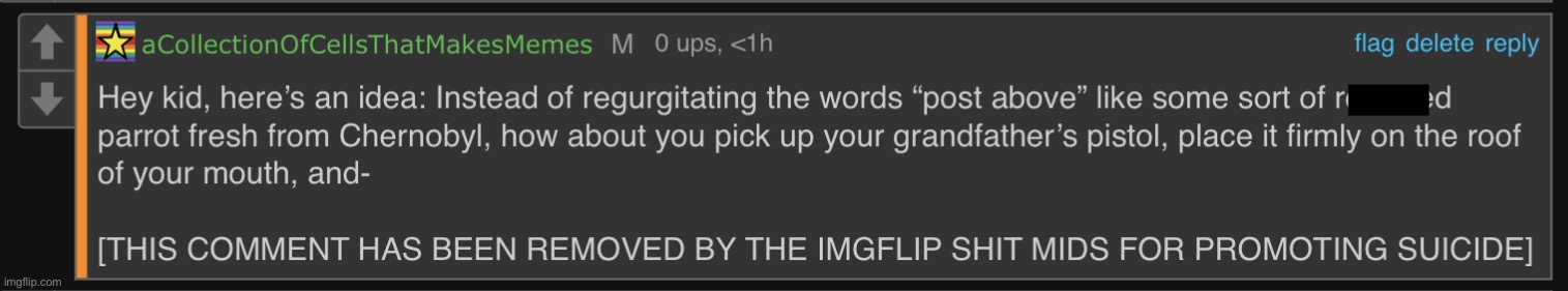 Yes, this is now a template | image tagged in saying post above is kinda unbased | made w/ Imgflip meme maker