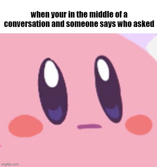 wdym i was just speaking | when your in the middle of a conversation and someone says who asked | image tagged in blank kirby face | made w/ Imgflip meme maker