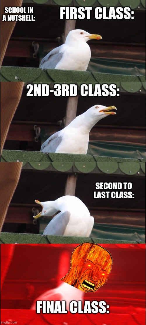 School In 7 seconds: | FIRST CLASS:; SCHOOL IN A NUTSHELL:; 2ND-3RD CLASS:; SECOND TO LAST CLASS:; FINAL CLASS: | image tagged in memes,inhaling seagull | made w/ Imgflip meme maker