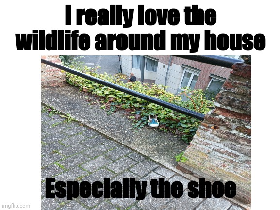 Beautiful nature | I really love the wildlife around my house; Especially the shoe | image tagged in shoe,wildlife | made w/ Imgflip meme maker