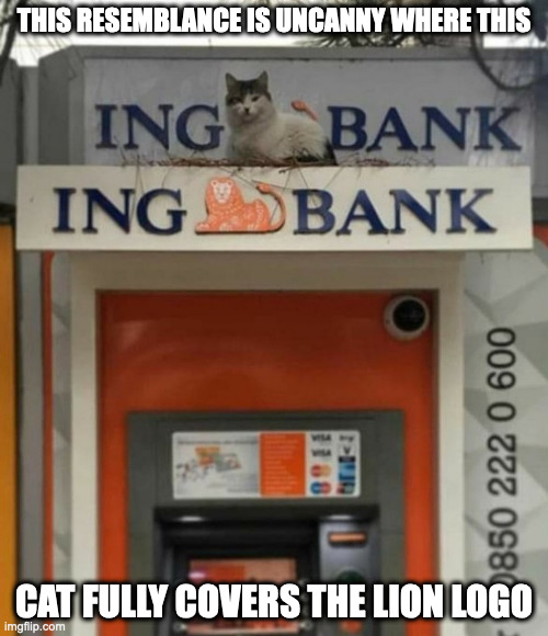 Cat On Top of ATM Machine | THIS RESEMBLANCE IS UNCANNY WHERE THIS; CAT FULLY COVERS THE LION LOGO | image tagged in bank,atm,cats,memes | made w/ Imgflip meme maker