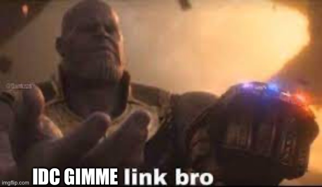 link bro | IDC GIMME | image tagged in link bro | made w/ Imgflip meme maker