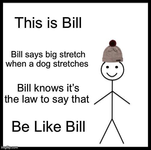 Big stretch | This is Bill; Bill says big stretch when a dog stretches; Bill knows it’s the law to say that; Be Like Bill | image tagged in memes,be like bill | made w/ Imgflip meme maker