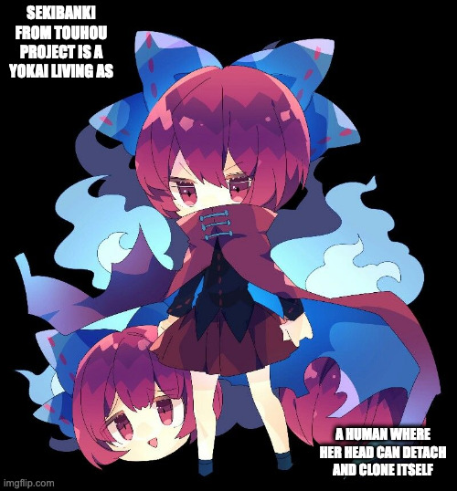 Sekibanki | SEKIBANKI FROM TOUHOU PROJECT IS A YOKAI LIVING AS; A HUMAN WHERE HER HEAD CAN DETACH AND CLONE ITSELF | image tagged in touhou,sekibanki,memes | made w/ Imgflip meme maker