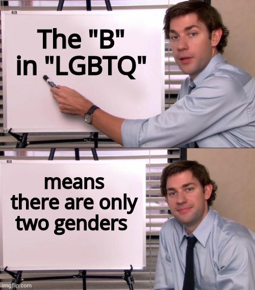 Jim Halpert Explains | The "B" in "LGBTQ" means there are only two genders | image tagged in jim halpert explains | made w/ Imgflip meme maker