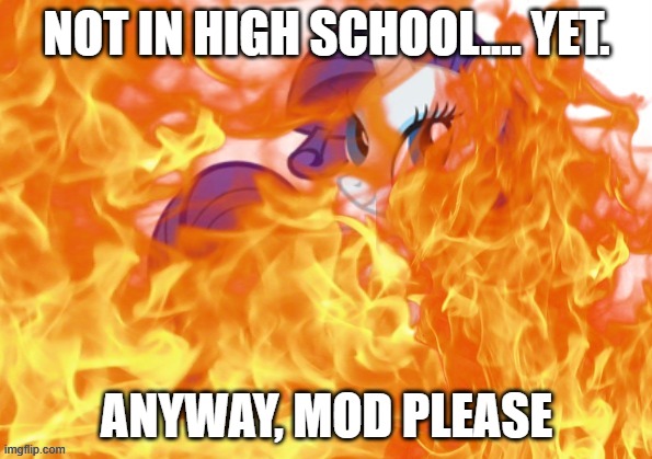 gonna be after 104 days of summer vacation | NOT IN HIGH SCHOOL.... YET. ANYWAY, MOD PLEASE | image tagged in stupid horse | made w/ Imgflip meme maker