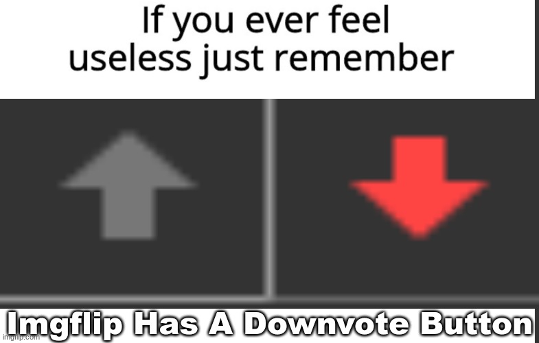 Remember | Imgflip Has A Downvote Button | image tagged in imgflip moment,funny,fun | made w/ Imgflip meme maker