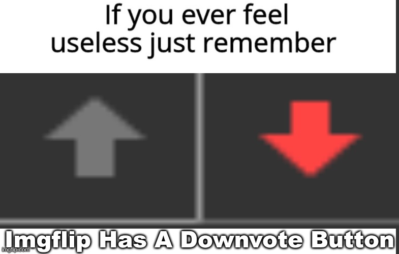 Remember | Imgflip Has A Downvote Button | image tagged in imgflip moment,msmg | made w/ Imgflip meme maker