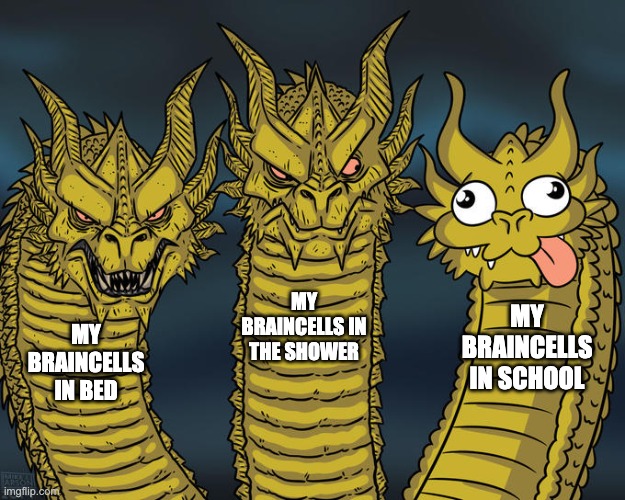 my braincells | MY BRAINCELLS IN THE SHOWER; MY BRAINCELLS IN SCHOOL; MY BRAINCELLS IN BED | image tagged in three-headed dragon | made w/ Imgflip meme maker