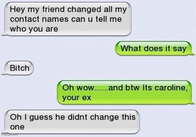 #1,537 | image tagged in texts,funny,bitch,texting,names | made w/ Imgflip meme maker