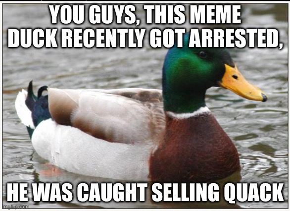 No, this duck did not actually get arrested. | YOU GUYS, THIS MEME DUCK RECENTLY GOT ARRESTED, HE WAS CAUGHT SELLING QUACK | image tagged in memes,actual advice mallard | made w/ Imgflip meme maker