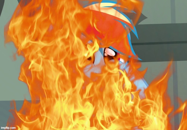 brun | made w/ Imgflip meme maker