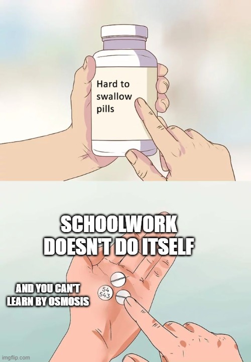 Osmotic learning 1 | SCHOOLWORK DOESN'T DO ITSELF; AND YOU CAN'T LEARN BY OSMOSIS | image tagged in memes,hard to swallow pills | made w/ Imgflip meme maker