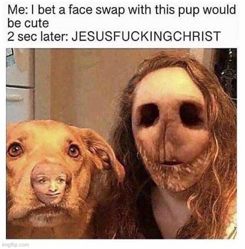 #1,542 | image tagged in cursed,cursed image,comments,face swap,dogs,funny | made w/ Imgflip meme maker