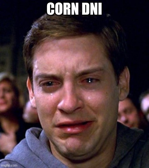 crying peter parker | CORN DNI | image tagged in crying peter parker | made w/ Imgflip meme maker