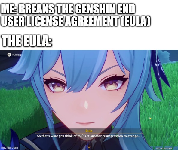 ME: BREAKS THE GENSHIN END USER LICENSE AGREEMENT (EULA); THE EULA: | made w/ Imgflip meme maker