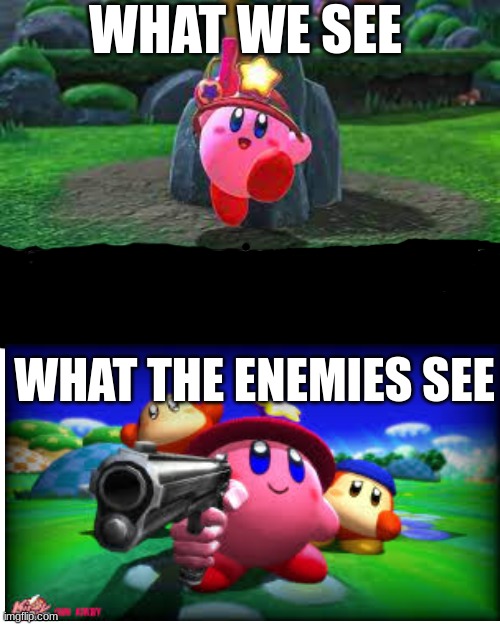 POV: Ranger Kirby | WHAT WE SEE; WHAT THE ENEMIES SEE | image tagged in gun,kirby | made w/ Imgflip meme maker