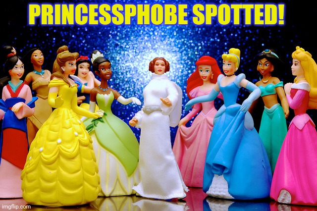 I saw what you posted | PRINCESSPHOBE SPOTTED! | image tagged in princessphobe,disney | made w/ Imgflip meme maker