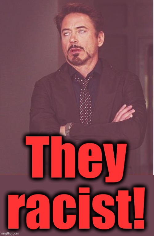 Face You Make Robert Downey Jr Meme | They
racist! | image tagged in memes,face you make robert downey jr | made w/ Imgflip meme maker