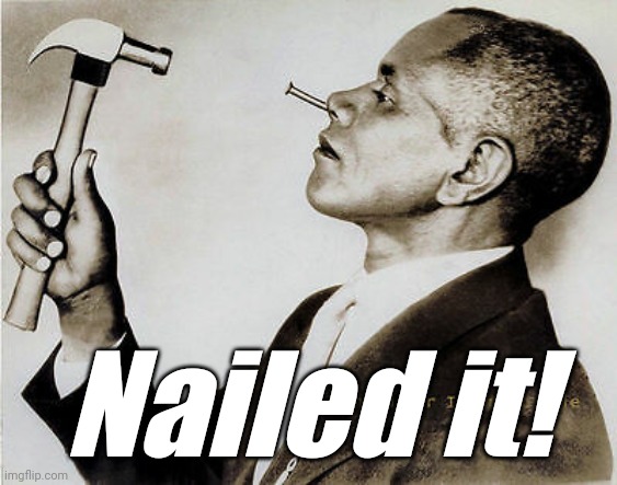 Nail in the face | Nailed it! | image tagged in nail in the face | made w/ Imgflip meme maker