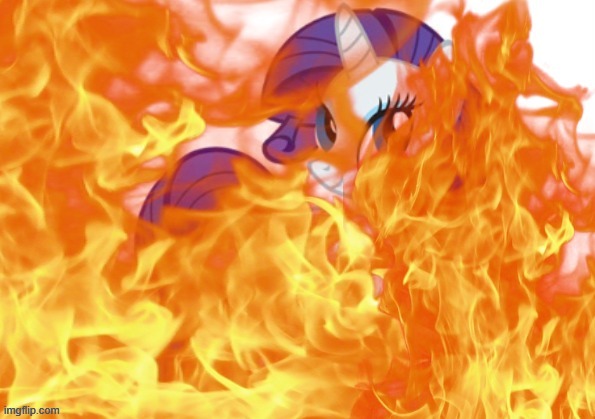 stupid horse | image tagged in stupid horse | made w/ Imgflip meme maker