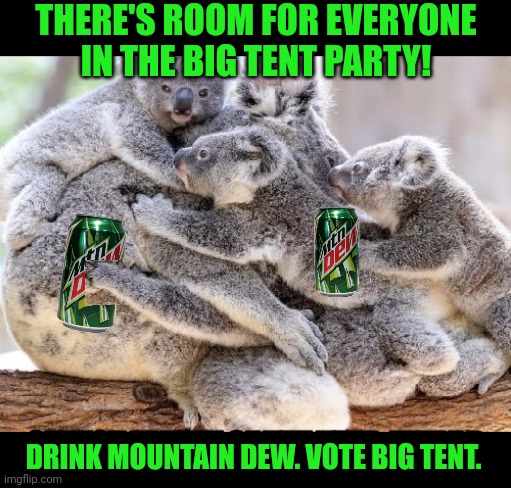 4 out of 5 koalas can't be wrong | THERE'S ROOM FOR EVERYONE IN THE BIG TENT PARTY! DRINK MOUNTAIN DEW. VOTE BIG TENT. | image tagged in drink,more,mountain dew,suck it down | made w/ Imgflip meme maker