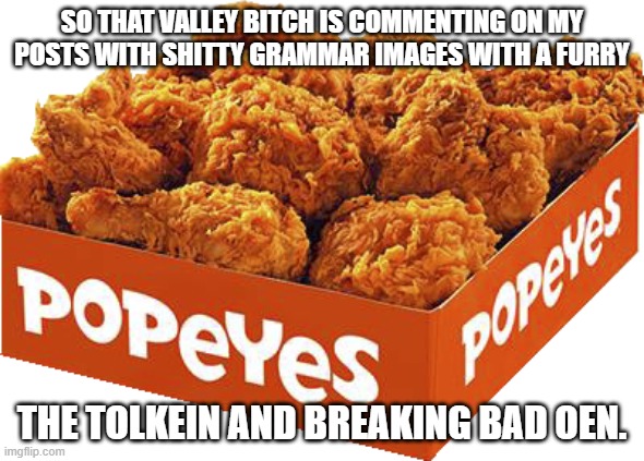 transparent popeyes chicken box | SO THAT VALLEY BITCH IS COMMENTING ON MY POSTS WITH SHITTY GRAMMAR IMAGES WITH A FURRY; THE TOLKEIN AND BREAKING BAD OEN. | image tagged in transparent popeyes chicken box | made w/ Imgflip meme maker