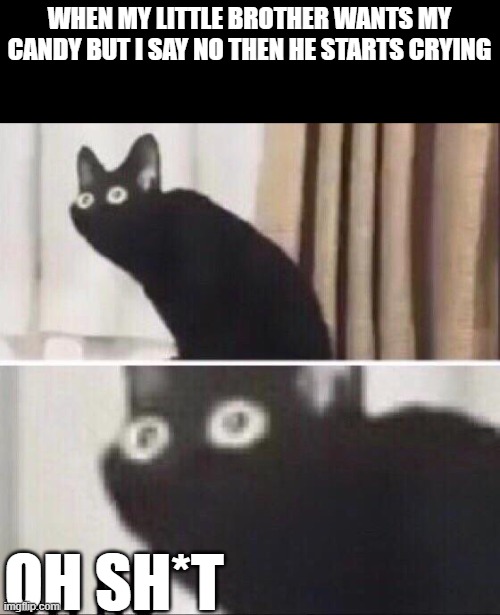 Frick | WHEN MY LITTLE BROTHER WANTS MY CANDY BUT I SAY NO THEN HE STARTS CRYING; OH SH*T | image tagged in oh no cat | made w/ Imgflip meme maker