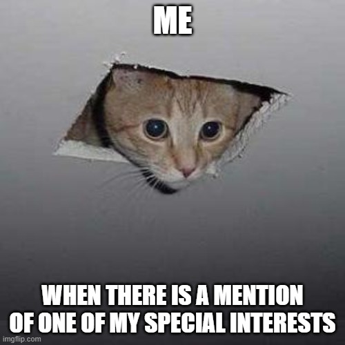Ceiling Cat | ME; WHEN THERE IS A MENTION OF ONE OF MY SPECIAL INTERESTS | image tagged in memes,ceiling cat | made w/ Imgflip meme maker
