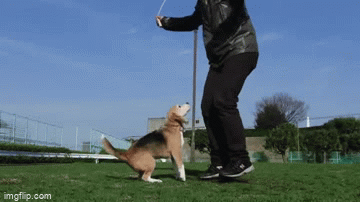 Jump roping - Imgflip