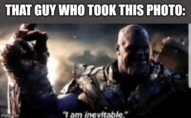 Thanos Inevitable Meme | THAT GUY WHO TOOK THIS PHOTO: | image tagged in thanos inevitable meme | made w/ Imgflip meme maker