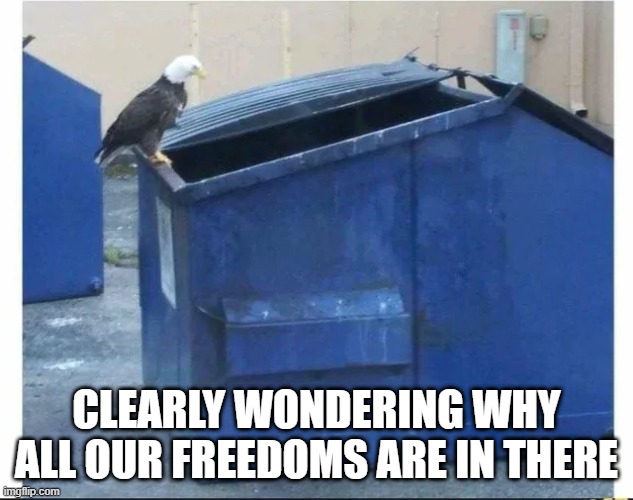Wondering About Freedom | CLEARLY WONDERING WHY ALL OUR FREEDOMS ARE IN THERE | image tagged in politics | made w/ Imgflip meme maker
