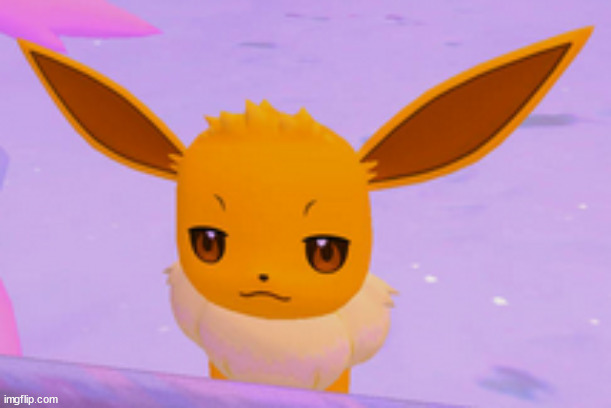 not impressed eevee | image tagged in not impressed eevee | made w/ Imgflip meme maker