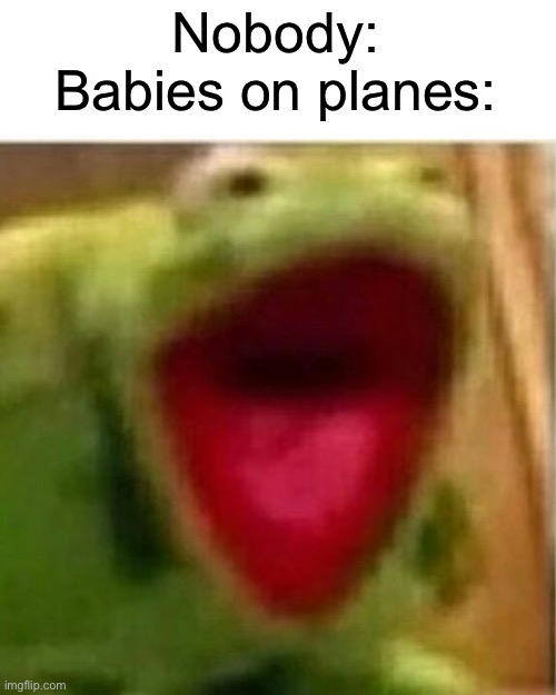 They’re so loud | Nobody:
Babies on planes: | image tagged in ahhhhhhhhhhhhh,memes,kermit,funny,relatable | made w/ Imgflip meme maker