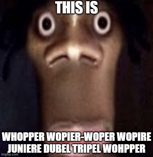 Quandale dingle | THIS IS; WHOPPER WOPIER-WOPER WOPIRE JUNIERE DUBEL TRIPEL WOHPPER | image tagged in quandale dingle | made w/ Imgflip meme maker