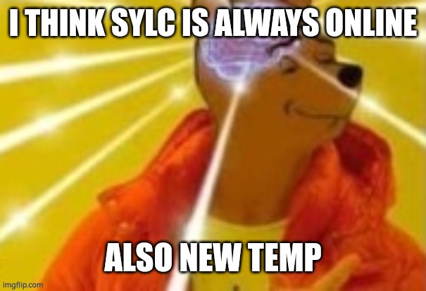 Smort Pooh drake | I THINK SYLC IS ALWAYS ONLINE; ALSO NEW TEMP | image tagged in smort pooh drake | made w/ Imgflip meme maker