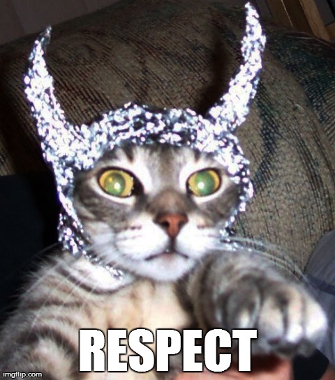RESPECT | image tagged in funny,cats | made w/ Imgflip meme maker