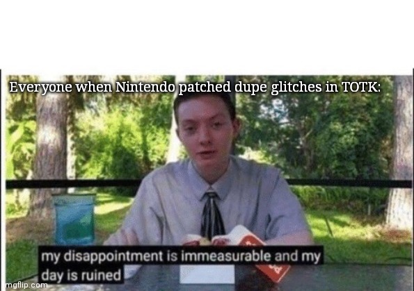 My dissapointment is immeasurable and my day is ruined | Everyone when Nintendo patched dupe glitches in TOTK: | image tagged in my dissapointment is immeasurable and my day is ruined | made w/ Imgflip meme maker