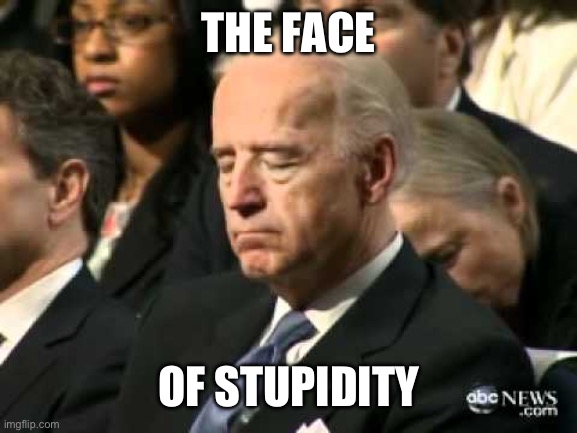 Sleepy Joe Biden | THE FACE OF STUPIDITY | image tagged in sleepy joe biden | made w/ Imgflip meme maker