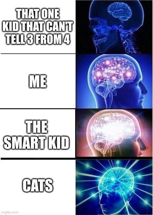Expanding Brain | THAT ONE KID THAT CAN'T TELL 3 FROM 4; ME; THE SMART KID; CATS | image tagged in memes,expanding brain | made w/ Imgflip meme maker