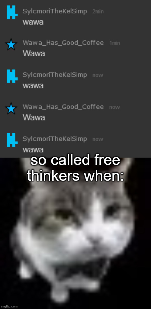 so called free thinkers when: | image tagged in le wawa cat | made w/ Imgflip meme maker