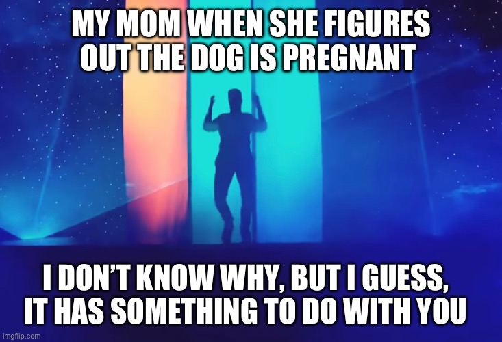 I don’t know either | MY MOM WHEN SHE FIGURES OUT THE DOG IS PREGNANT; I DON’T KNOW WHY, BUT I GUESS, IT HAS SOMETHING TO DO WITH YOU | image tagged in memes,imagine dragons,front page plz,funny,i dont know why | made w/ Imgflip meme maker