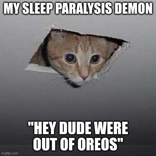 i have 2 cats and this is relatable | MY SLEEP PARALYSIS DEMON; "HEY DUDE WERE OUT OF OREOS" | image tagged in memes,ceiling cat | made w/ Imgflip meme maker