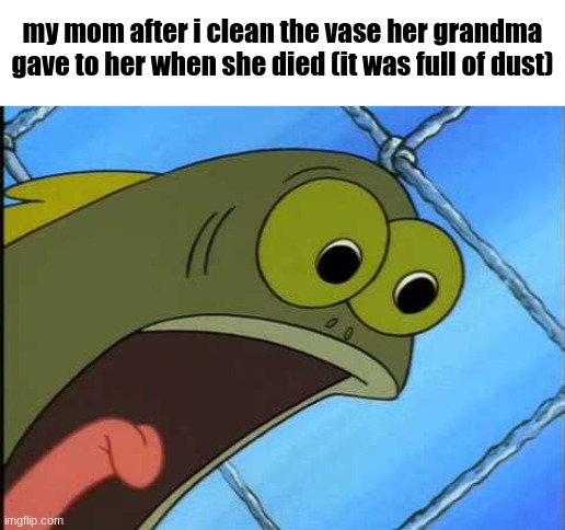 YOU WHAT | my mom after i clean the vase her grandma gave to her when she died (it was full of dust) | image tagged in you what,ong | made w/ Imgflip meme maker