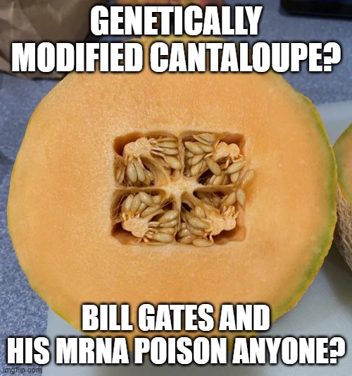 Genetically Modified Cantaloupe? | GENETICALLY MODIFIED CANTALOUPE? BILL GATES AND HIS MRNA POISON ANYONE? | image tagged in genetically modified cantaloupe | made w/ Imgflip meme maker