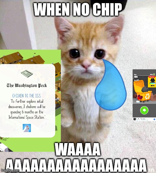 WAAAAaaaaaaaaaaaaaaaaa | WHEN NO CHIP; WAAAA AAAAAAAAAAAAAAAAA | image tagged in memes,cute cat | made w/ Imgflip meme maker