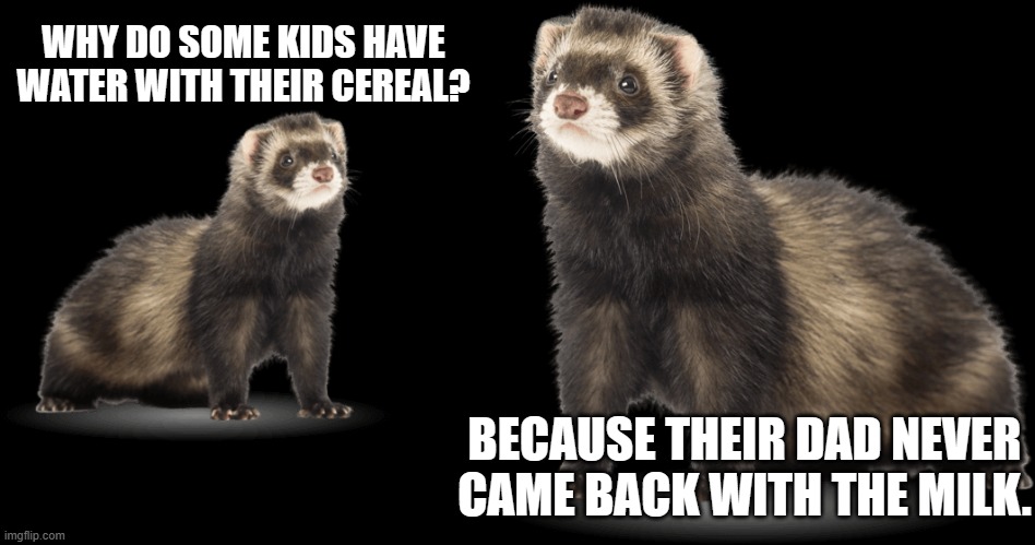 Wtf Ferrets | WHY DO SOME KIDS HAVE WATER WITH THEIR CEREAL? BECAUSE THEIR DAD NEVER CAME BACK WITH THE MILK. | image tagged in dark humor,ferret | made w/ Imgflip meme maker