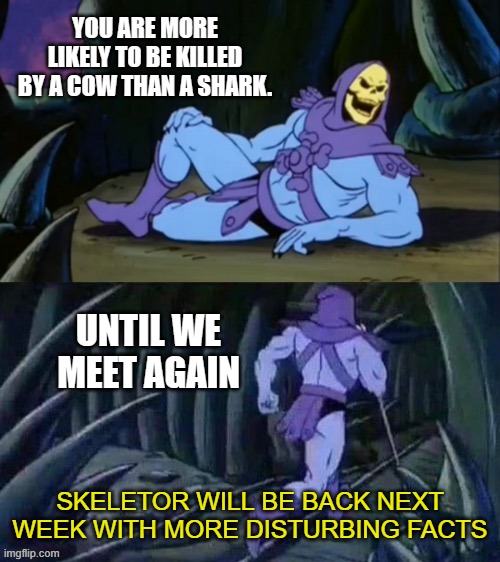 Apparently this is true, according to WWF | YOU ARE MORE LIKELY TO BE KILLED BY A COW THAN A SHARK. UNTIL WE MEET AGAIN; SKELETOR WILL BE BACK NEXT WEEK WITH MORE DISTURBING FACTS | image tagged in skeletor disturbing facts,killed,cow,shark | made w/ Imgflip meme maker