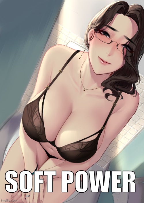 2D | SOFT POWER | image tagged in anime boobs,hentai anime girl,anime,politics | made w/ Imgflip meme maker